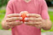 Guy's hand holds nectarine, snack and fast food concept. Selective focus on hands with blurred background