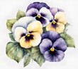Pansy flower with leafs, pastel watercolor drawing
