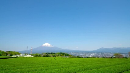 Wall Mural - 富士山と茶畑　タイムラプス