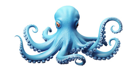 octopus on the transparent background