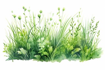 Wall Mural - Generative AI : Green grass close up watercolor illustration. Lush grass - meadow element. 