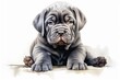 Generative AI : Neapolitan mastiff watercolor portrait painting illustrated dog puppy isolated on transparent white background