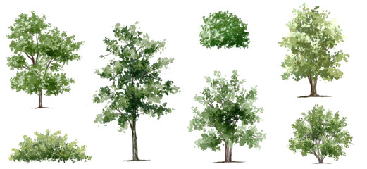 vector watercolor green tree or forest side view isolated on white background for landscape and arch