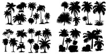 Coconut Tree Silhouettes