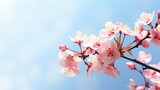 Fototapeta Mapy - Pink cherry blossoms,pink sakura,beautiful cherry blossoms blue background. Cherry blossoms are beautiful and pleasing to the eye. Makes you feel relaxed like you're in nature. Generative ai