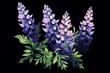 Abstract lupine flowers on black background, herbal illustration. Generative AI