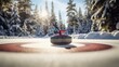 © Brian - Curling stone on the ice with handle for winter sports