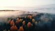 Aerial view of beautiful winter and autumn forest in low clouds at sunrise. Top view of orange and green trees in fog at dawn in fall. View from above of woods. Nature background. Multicolored leaves
