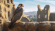 a beautiful bird of prey from the falcon family sits on the stone ruins of an old castle or house on a beautiful sunny day