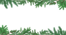 Christmas Border Of Branches. Spruce Twigs Background. Pine Leaves Isolated On A Transparent Background. Eps 10
