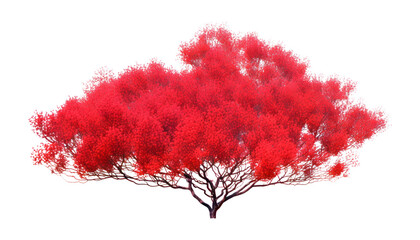 red tree isolated on transparent background cutout