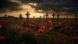 Photos of a world war one battlefield with poppies under dark skies. 