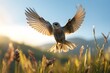 Vogel im Landeanflug auf einer Wiese, Sommer (Generative AI, KI)