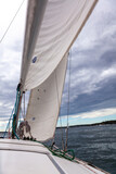 Fototapeta Sawanna - sailing on the sea