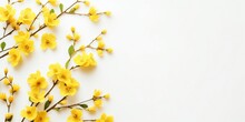 A Graceful Flat Lay Of Little Yellow Flowers, Captured From Above, Whispering Of Spring, Against A Gentle, Light Background, Providing A Fresh And Airy Canvas With A Serene Empty Space.