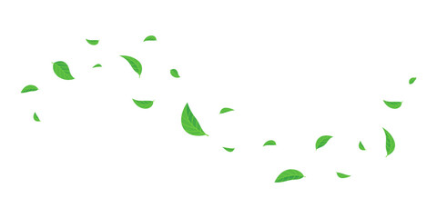 green leaves flying on wind illustration