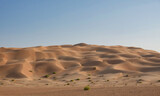 Fototapeta Miasto - Large golden dune in the Rub Al Khali desert with undulating sand lines against a backdrop of blue sky. Oman