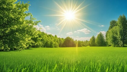 Wall Mural - Spring summer background featuring beautiful panoramic natural landscape of green field with grass against blue sky with sun