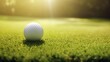 golf ball on a wide, green field, under the hot sun. Generative AI