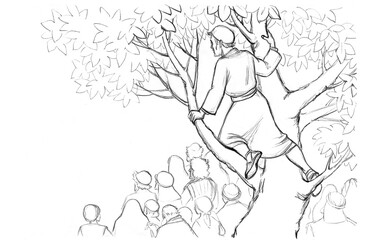 Wall Mural - Zacchaeus. The man in the tree looks out into the crowd. Pencil drawing