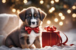 pets in christmas day, christmas nigth with your dogs, adorable christmas dog with decoration, cute xmas puppy, christmas wallpaper, happy pet in christmas