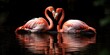 Dwa różowe flamingi przytulające się na jeziorze. 