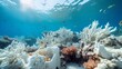 A close-up of a dying coral reef due to ocean pollution and bleaching.