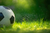 Fototapeta Sport - A soccer ball on the green grass.Morning workouts in nature.A ball on the wet grass in dew drops.