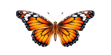 Abstract Closeup Butterfly Vector Isolated On Transparent Background.