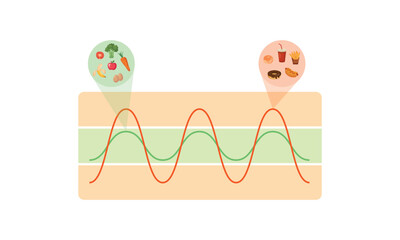 Wall Mural - Blood Sugar Balance Graph Scientific Design. Vector Illustration.