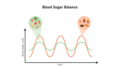 Wall Mural - Blood Sugar Balance Graph Scientific Design. Vector Illustration.