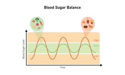 Wall Mural - Blood Sugar Balance Graph Scientific Design. Vector Illustration.