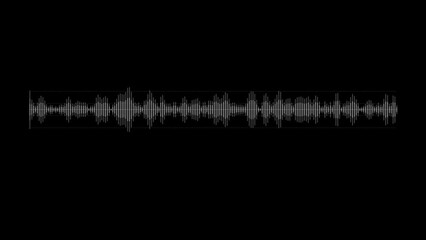 Canvas Print - animation of an audio spectrum consisting of bars.