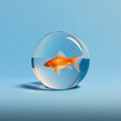  a fish swimming in a glass sphere 
