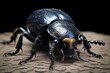 Dark insects. Anoplotrupes stercorosus dor is a species of dung beetle from the family Geotrupidae. Generative AI