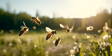Bee On The Field,bee, Fly, Animal, Pollen, Honey, Bumblebee, Garden, Yellow, Flying Generative Ai