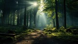 Fototapeta Natura - green forest trees with sun ray background, Generative AI