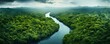 amazon rainforest, aerial view photography, top view photography, Generative AI