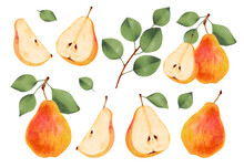 Collection Of Yellow Pears. Whole, Halves And Pieces Of Pear With Green Leaves. Ripe Fruits From A Tree. Vegetarian Products. Organic Food. Watercolor Illustration. Hand Drawn Isolated.