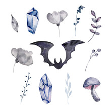 Watercolor Animals, Floral And Crystals Set, Illustration
