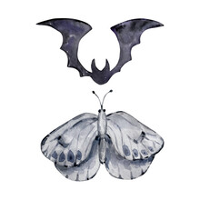 Watercolor Bat And Moth Set
