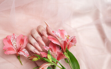 Elegant pastel pink natural manicure.