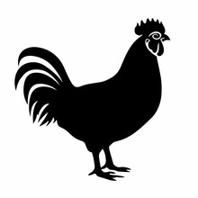 Chicken Black Icon On White Background. Rooster Silhouette