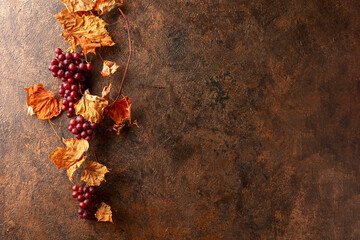 Wall Mural - Vine with dried leaves and ripe grapes.