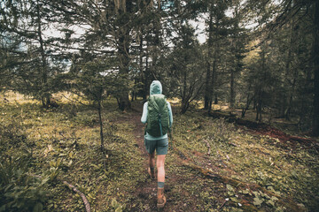 Wall Mural - Hiking woman walking in high altitude forest