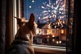 Fototapeta Zwierzęta - Dog looking out of the window watching fireworks