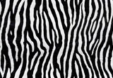 Abstract Seamless Zebra Skin Pattern Background