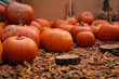 Group of pumpkins indoors with autumn arrangement