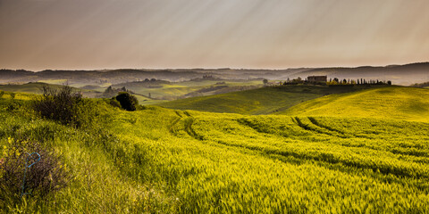 Wall Mural - Wheat fields tuscan village