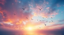 Birds Flying In The Sunset